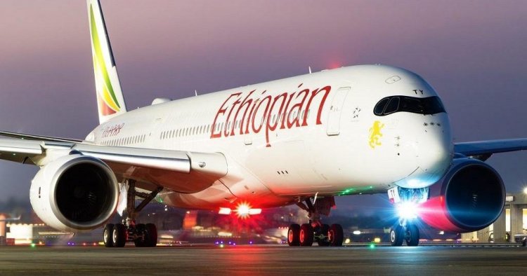 PLAN TO PRIVATIZED ETHIOPIAN AIRLINES SUSPENDED